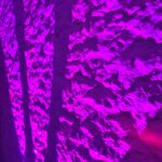 Oxford Discos in Oxfordshire Uplighting Tripple Beam Stone Wall